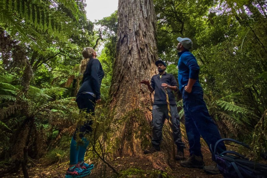 NZ Tourism Awards: Kohutapu Lodge and Tribal Tours takes top gong…
