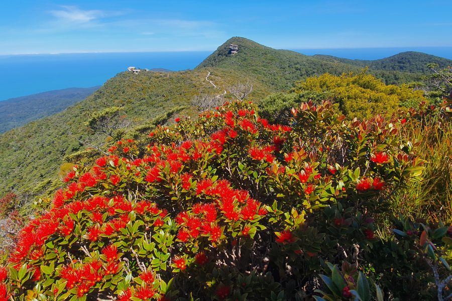 DOC delays Hump Ridge elevation to Great Walk by a year