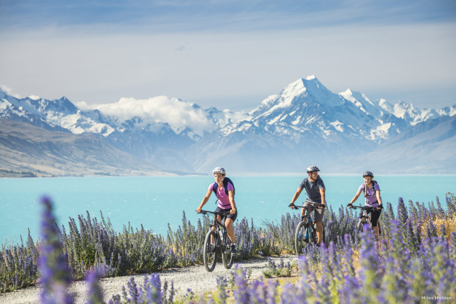 Canterbury makes top 10 most welcoming on Booking.com