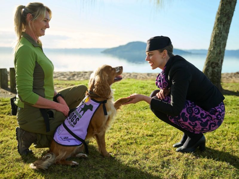 Air NZ commits $10m to DOC partnership