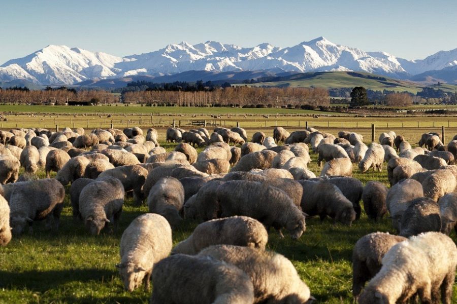 Agritourism accelerator programme goes online