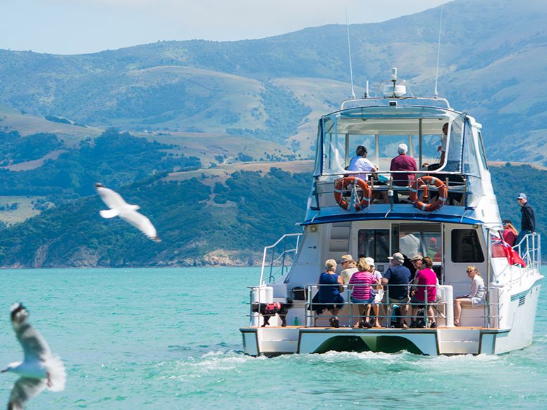 An Operator’s View: Akaroa Dolphins’ Julia Waghorn