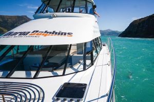 NZ Tourism Awards: Akaroa Dolphins steers course towards strong summer