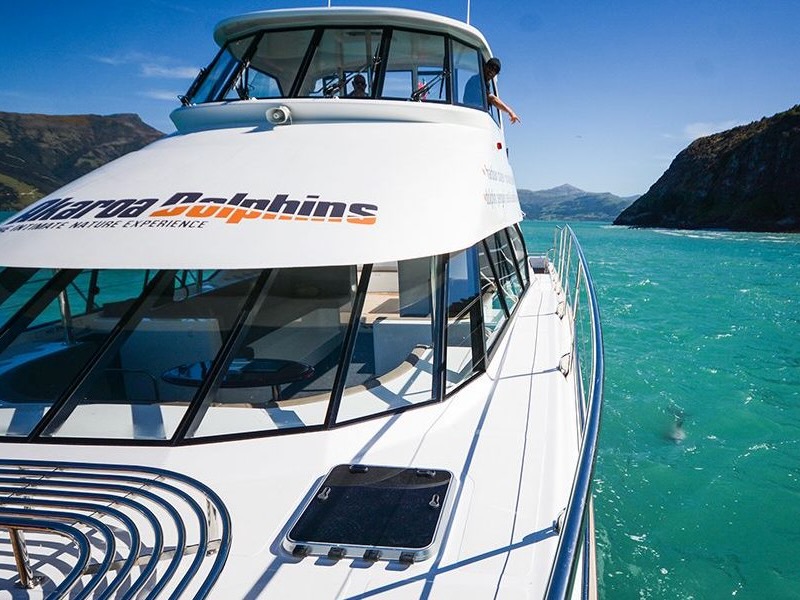 NZ Tourism Awards: Akaroa Dolphins steers course towards strong summer