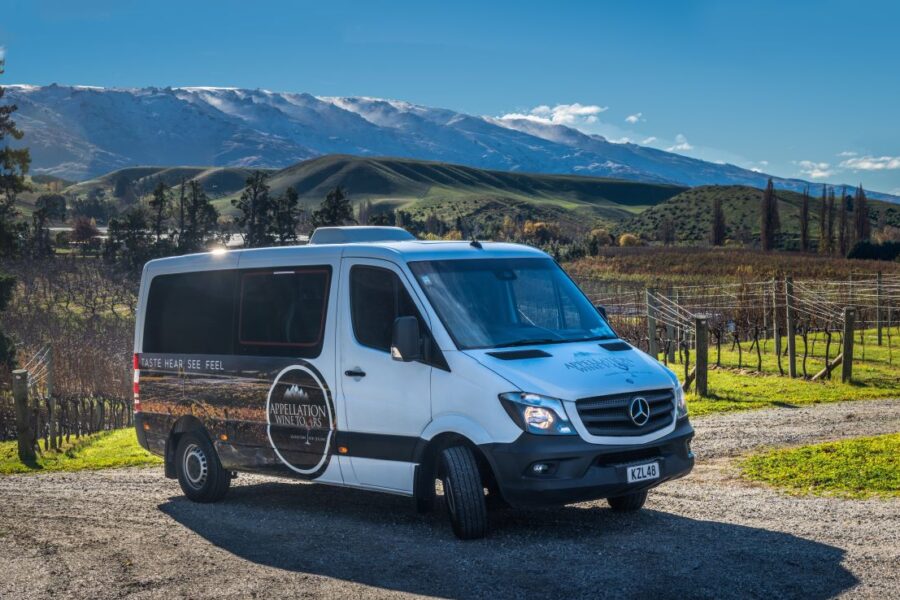 Queenstown operator wins Maverick, Yonder website competition