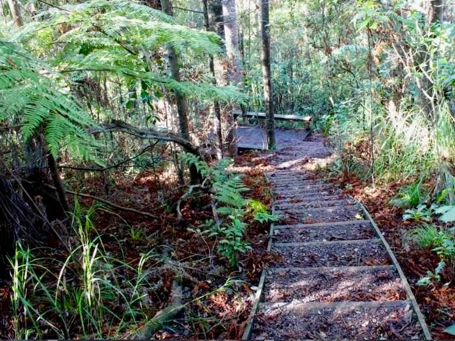 Auckland Council to open upgraded tracks