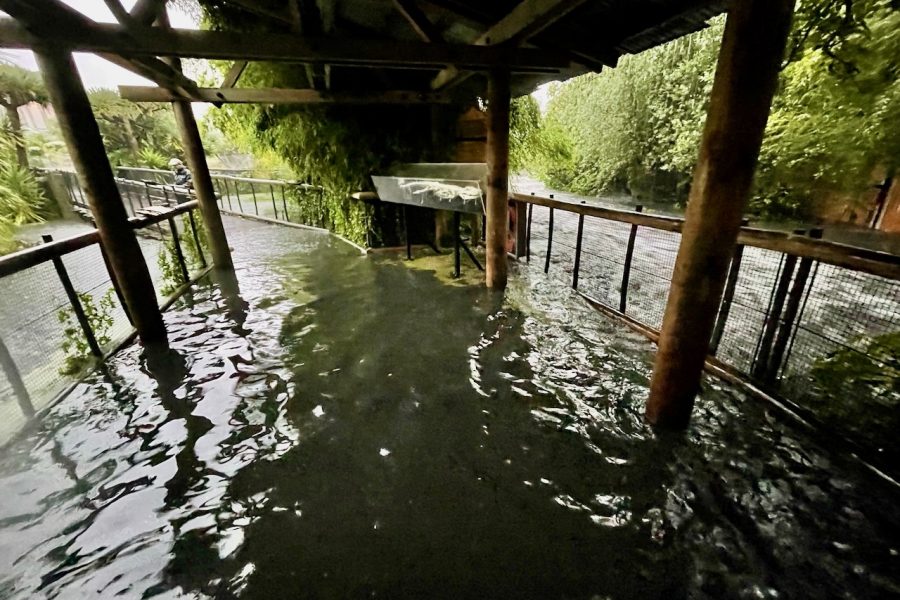 Tourism industry gauges wild weather’s impacts on operators