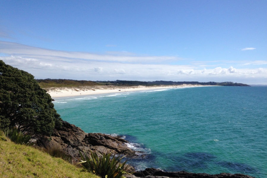 Northland urges govt to extend $49m Kick-start Fund