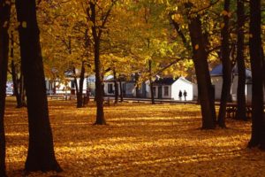 Perspectives: With climate warming, could autumn be the new summer for tourism?