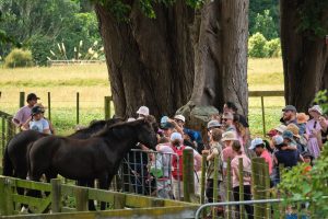 Working farm event draws crowds