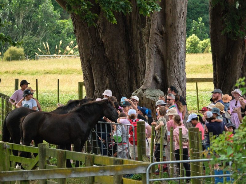 Working farm event draws crowds