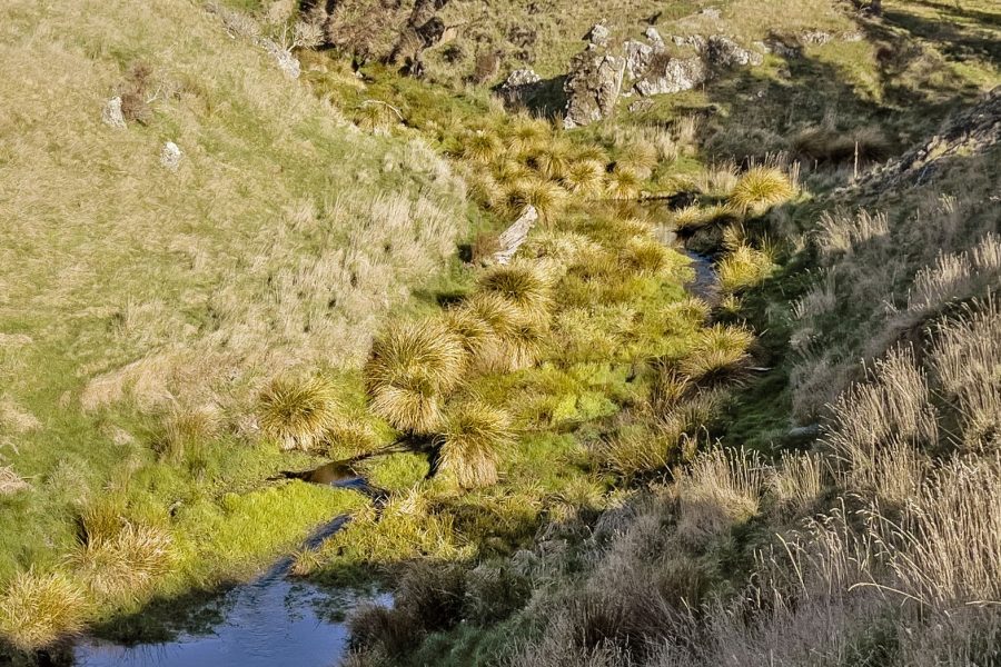 Hurunui effort to restore ecological wetland