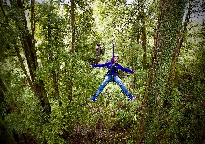 Award-winning Rotorua Canopy Tours sold