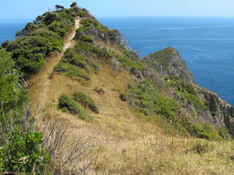 Northland project to create 15 Jobs for Nature roles