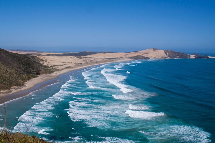 Seaweek encourages Kiwis to explore their ocean connection