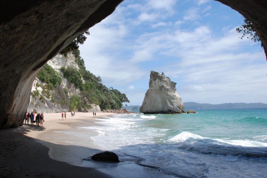 Hauraki Coromandel tourism economy at “critical point”