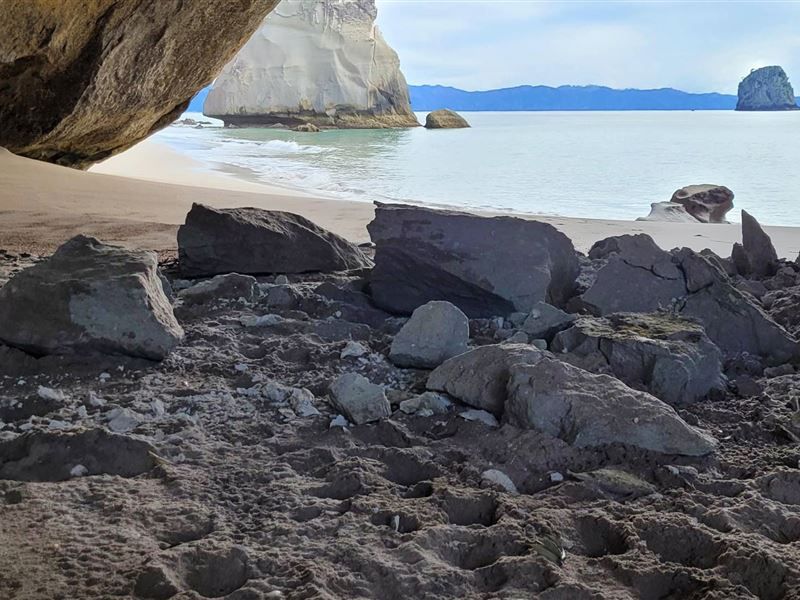 DOC, operators work on safety as Cathedral Cove rockfalls continue