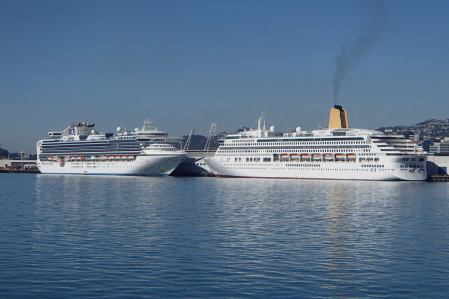 Cruise probably tourism’s “most trashed brand” in Covid is coming back better – Nash