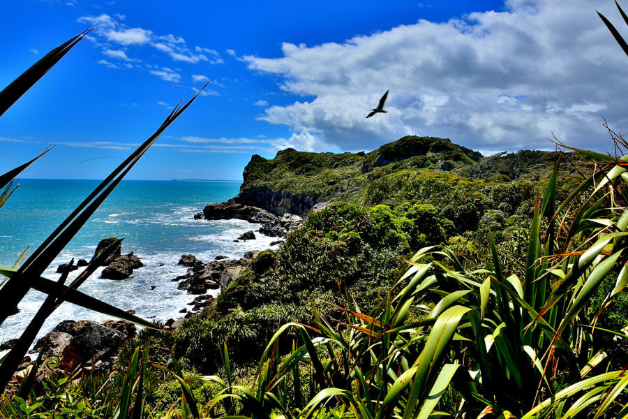 Work to begin on Kawatiri Coastal Trail