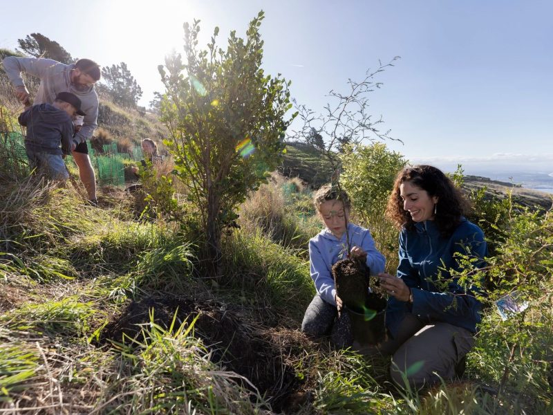 ChristchurchNZ launches business events legacy project
