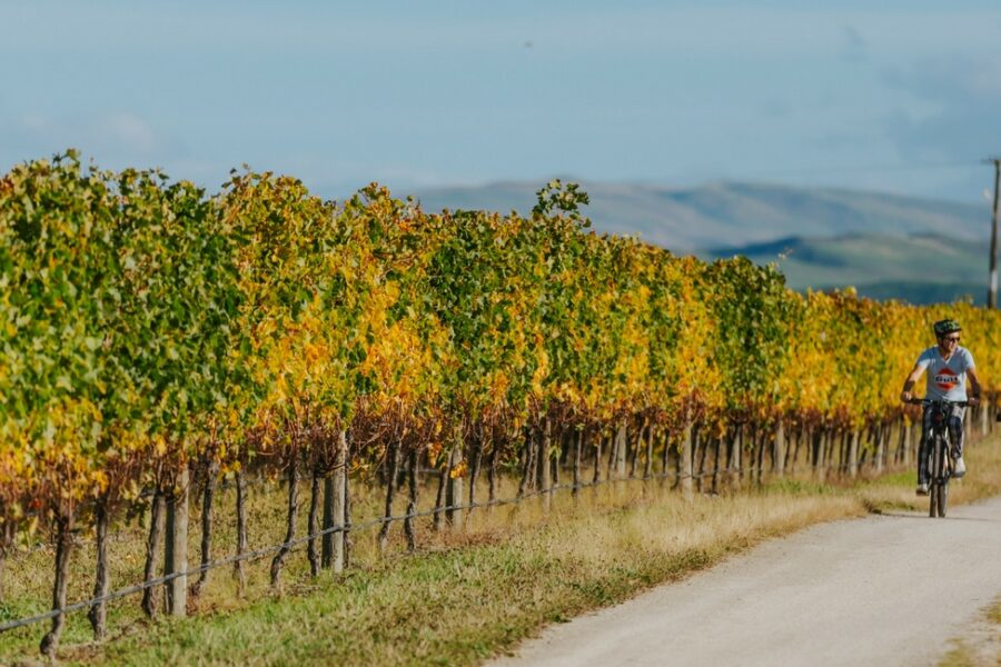 Hawke’s Bay projects secure $4m PGF investment