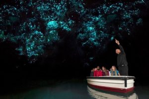 Record results for THL’s tourism experiences