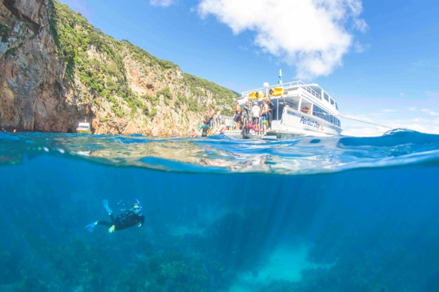 An Operator’s View: Dive! Tutukaka’s Kate Malcolm