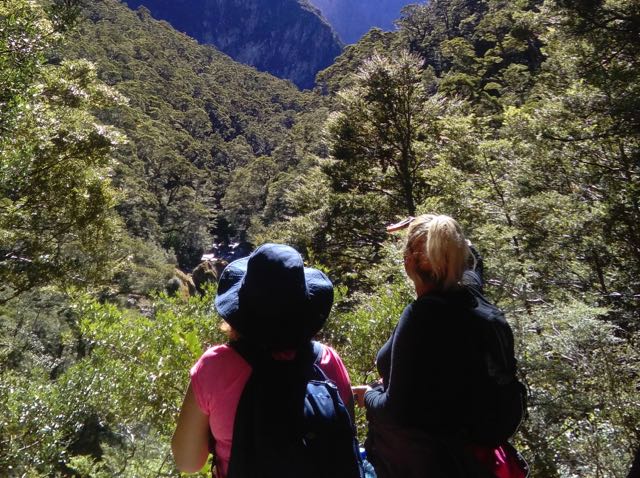 Nash’s $200m tourism plan gets positive reception from sector