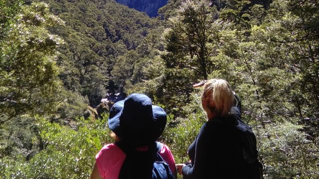 Wednesday Letter: More time needed for tourism to adjust