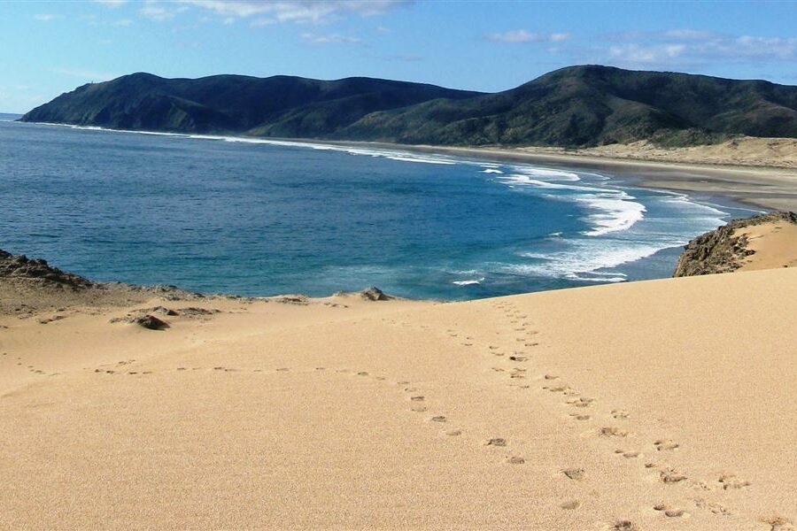 Northland secures $500k for tourism promotion