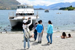 Tourism recovery slowing, arrivals reverting to trend – Westpac