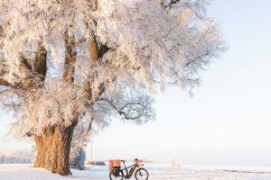 Perspectives: Can e-bikes be a solution to sustainable transport in rural tourist areas?