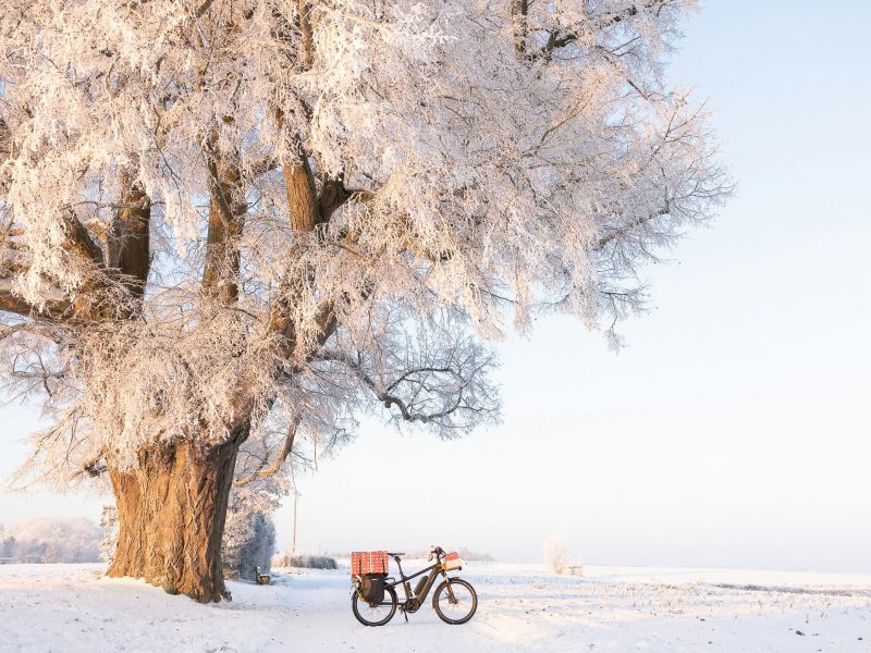 Perspectives: Can e-bikes be a solution to sustainable transport in rural tourist areas?