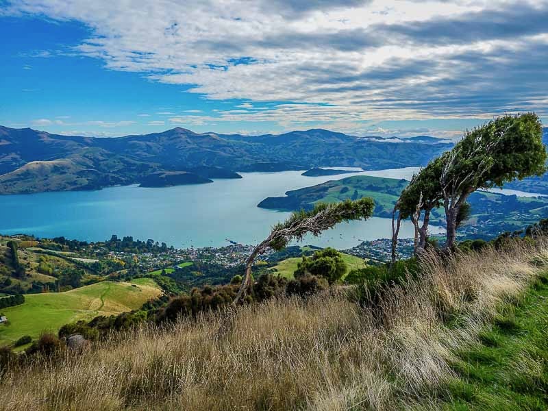 Sustainability institute, zoo secure tourism innovation funding
