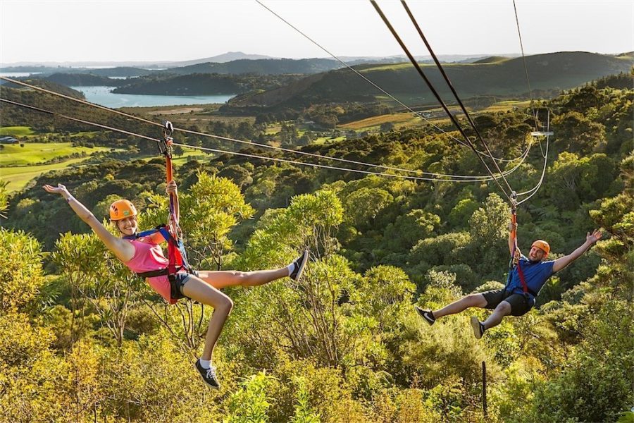 TECNZ Achievement Awards finalists revealed