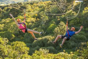 EcoZip launches $15k scholarships
