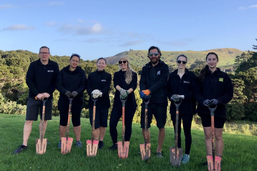 EcoZip backs Waiheke native tree planting