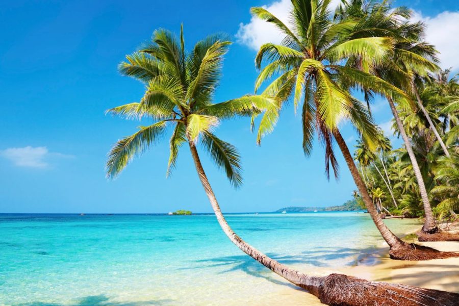 Domestic travel spend sentiment negative, but rebounds for international – survey