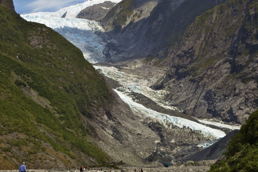 Franz Josef operator makes rare discovery