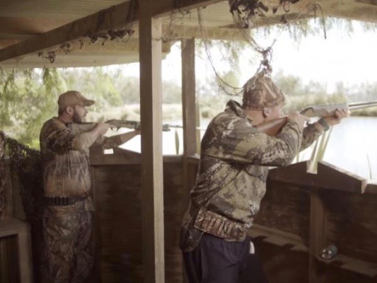 Around 50k hunters out for game bird season opening