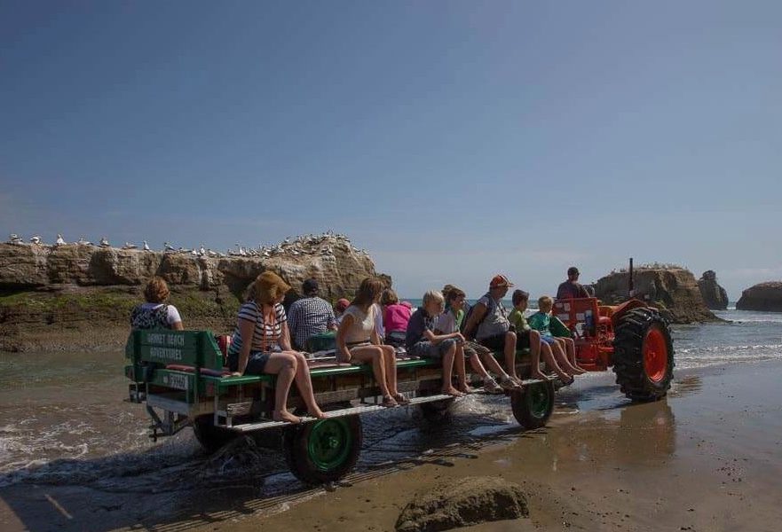 Closure of 71-year-old tourism business “unfortunate” but safety the priority – DOC