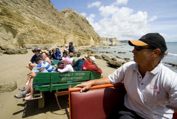 Operators applaud Cape Kidnappers decision on beach slip