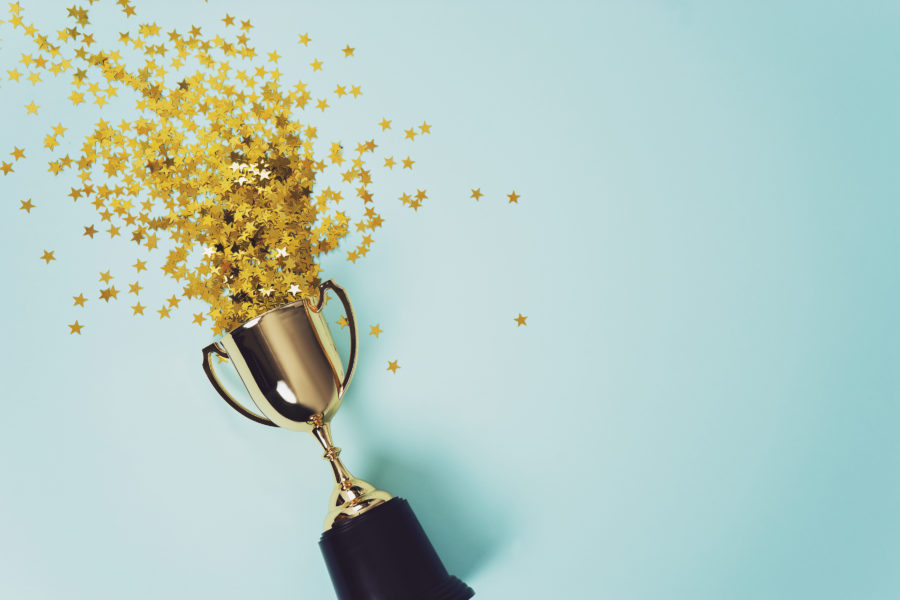 Wellington Airport awards honour local community groups