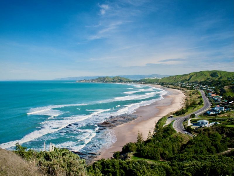 New guide nurtures nature for mental wellbeing in Tairāwhiti