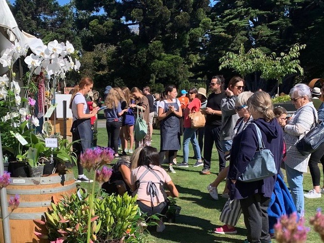 Festival fails to raise funds, postpones to 2023