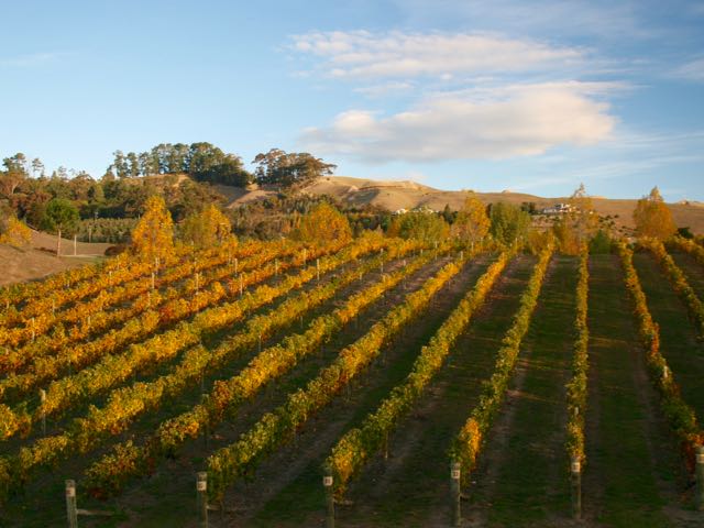 Hawke’s Bay Tourism launches ‘Tastes Like Summer’ campaign