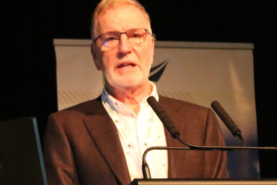 Industry needs revamped Tourism NZ to provide direction – Hickton