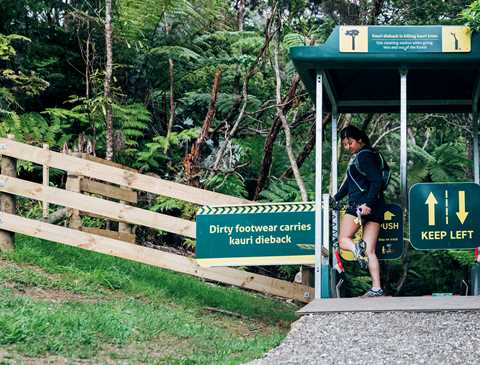 Aucklanders complying with Kauri dieback rules