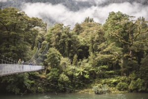 Hollyford operator teams up with All Black legend