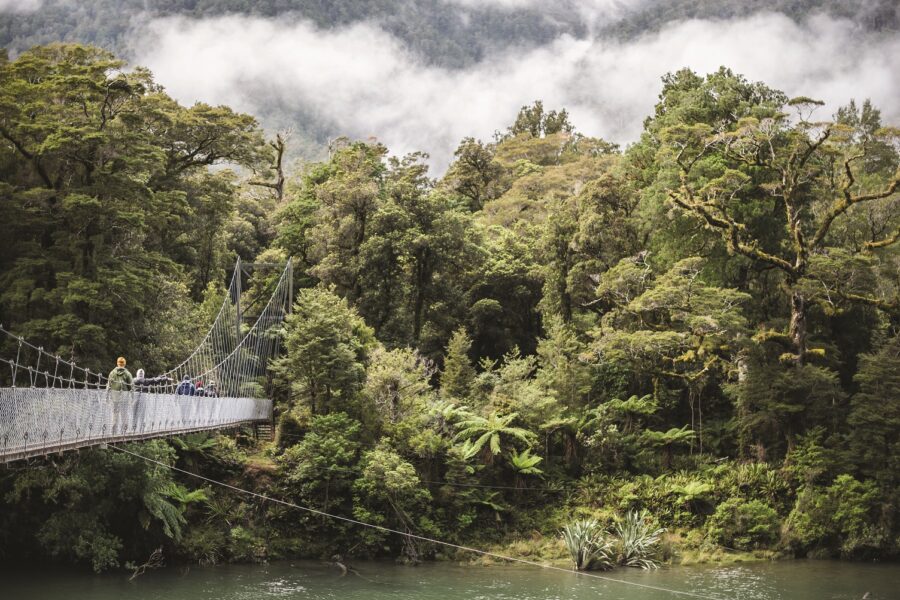 Hollyford operator teams up with All Black legend
